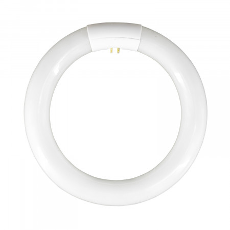 Tubo fluorescente circular T9 G10Q 22W 1300lm 6400K 7hSevenOn Iluminação de baixo consumo 1