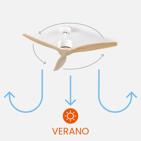 Ventilador de Techo 3 Aspas 55W 6 Velocidades Nebraska Thinia Home Ventiladores de Techo 4