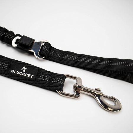 Correa para Perro Elástica y Reflectante con Enganche para Coches 120-145cm Glückpet Correas para Perros 2