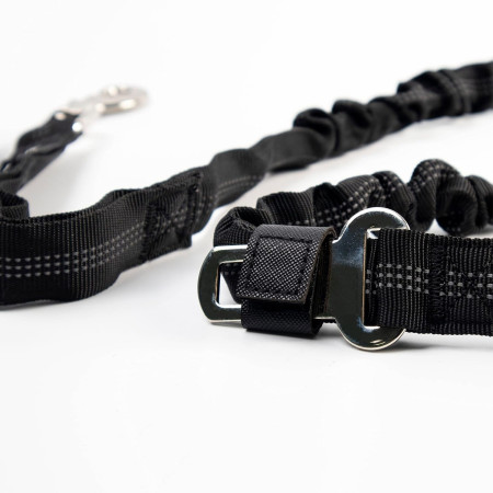 Correa para Perro Elástica y Reflectante con Enganche para Coches 120-145cm Glückpet Correas para Perros 4