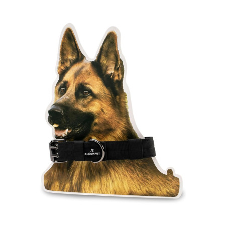 Collar para Perro con Hebilla Velcro y Anilla en D Talla M 35-45cm Glückpet Collares y Arneses 7
