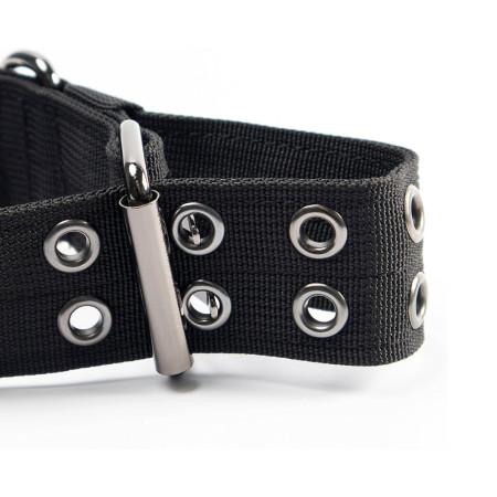 Collar para Perro con Hebilla Velcro y Anilla en D Talla L 43-53cm Glückpet Collares para Perros 4