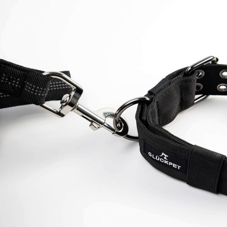 Collar para Perro con Hebilla Velcro y Anilla en D Talla L 43-53cm Glückpet Collares y Arneses 6