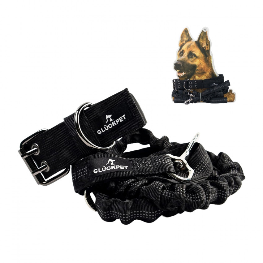 Collar y Correa para Perro Reflectante con Enganche para Coche Talla L Glückpet Collares para Perros 1 Collar y Correa para Perro Reflectante con Enganche para Coche Talla L Glückpet Collares para Perros 1