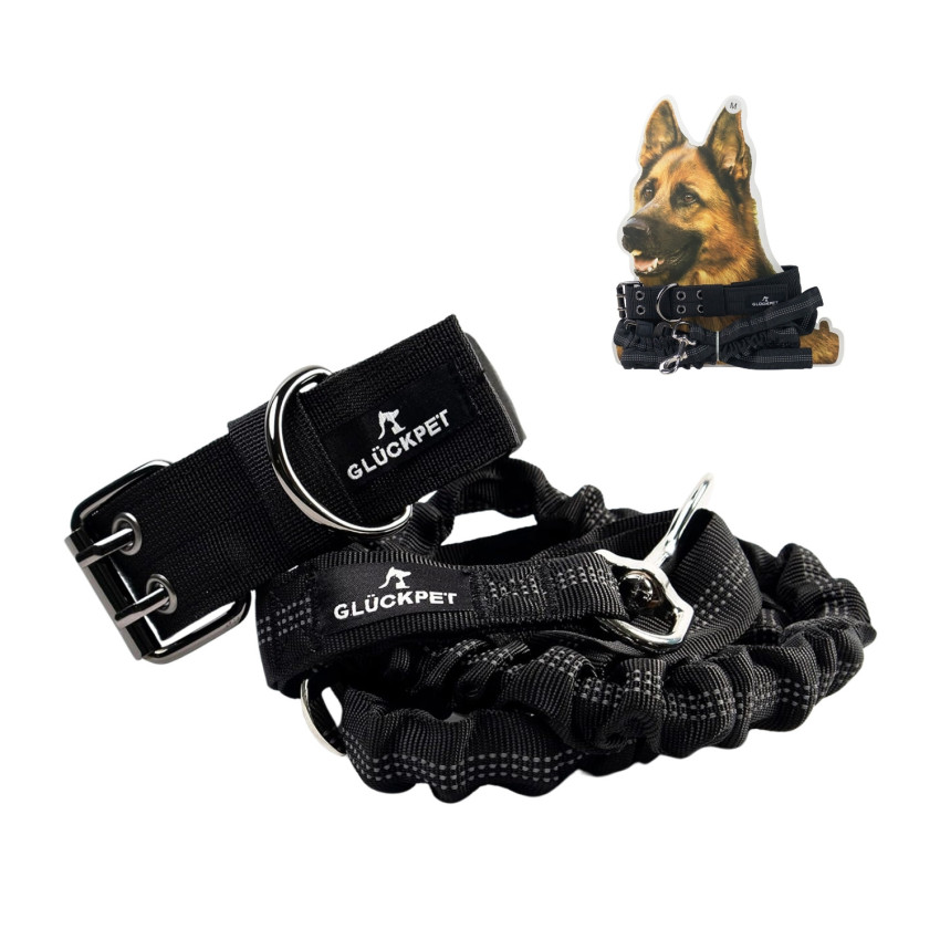 Collar y Correa para Perro Reflectante con Enganche para Coche Talla L Glückpet Collares y Arneses 1