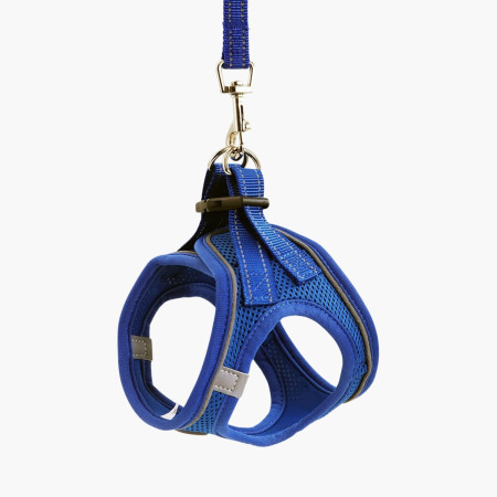 Arnés para Perros Pequeños y Medianos con Correa de 1.4m Antitirones Reflectante Talla M Glückpet Collares y Arneses 14