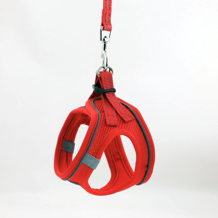 Arnés para Perros Pequeños y Medianos con Correa de 1.4m Antitirones Reflectante Talla XS Glückpet Collares y Arneses 35