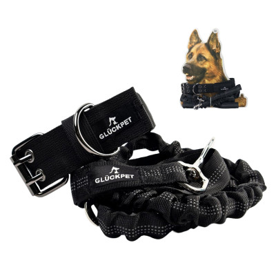 Collar y Correa para Perro Reflectante con Enganche para Coche Talla XL Negro Glückpet Collares para Perros 1