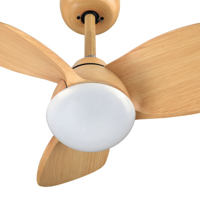 Ventilador de Techo Wave 55cm Motor DC 30W Silencioso Con Luz LED y Mando a Distancia Raydan Ventiladores de Techo 2