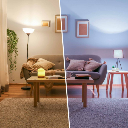 Pack 40 Lâmpadas LED GU5.3 Spotlight 8W Equi.60W 700lm Raydan Home Lâmpadas LED 4