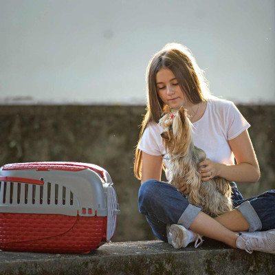 Transportín Tour 52x33x34cm BAMA Transportines 20