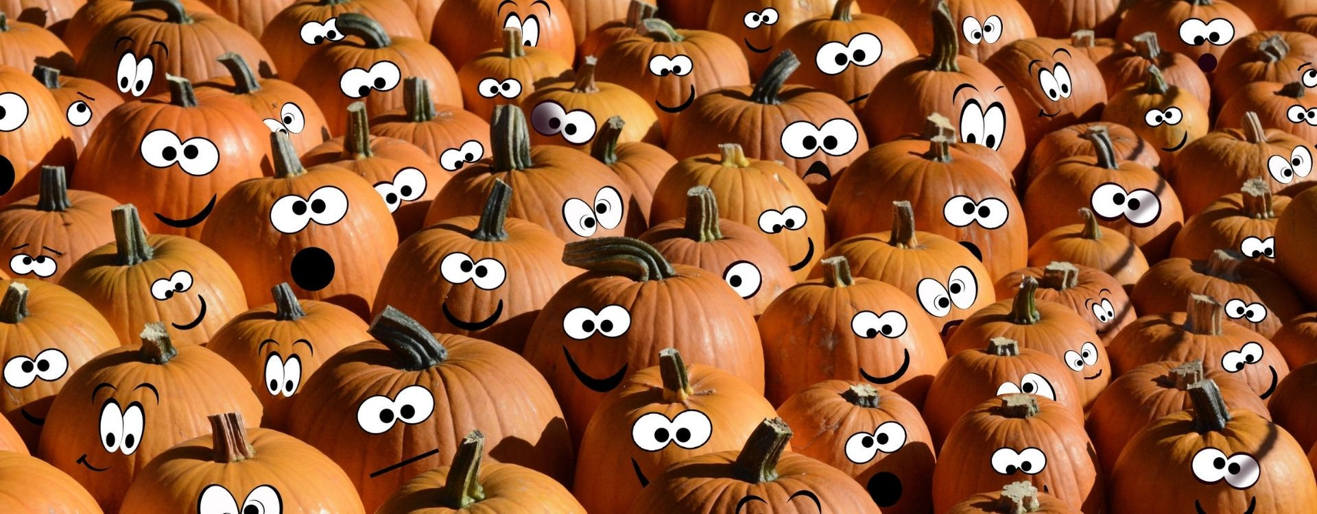 ???? 5 ideas para decorar calabazas en Halloween ✓ Blog ORION91