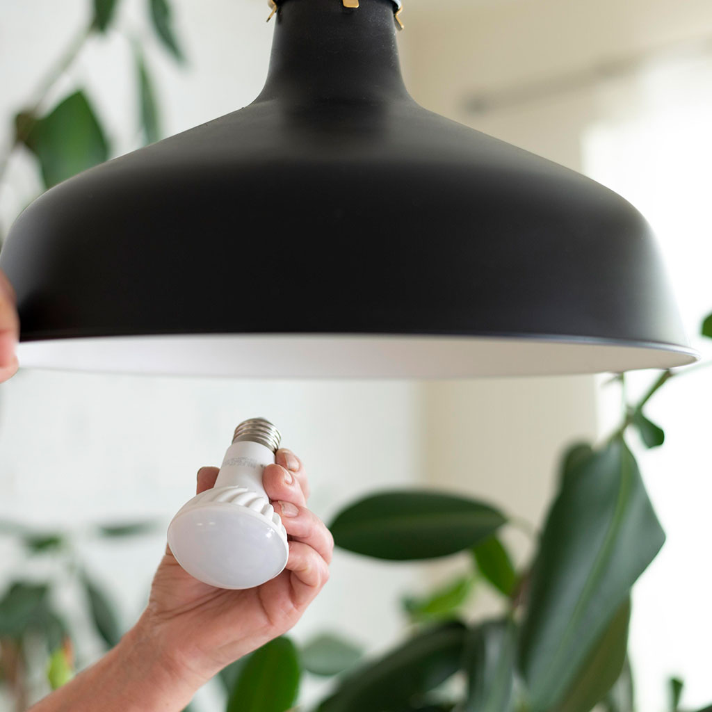 Instalación de bombilla LED en lámpara de techo