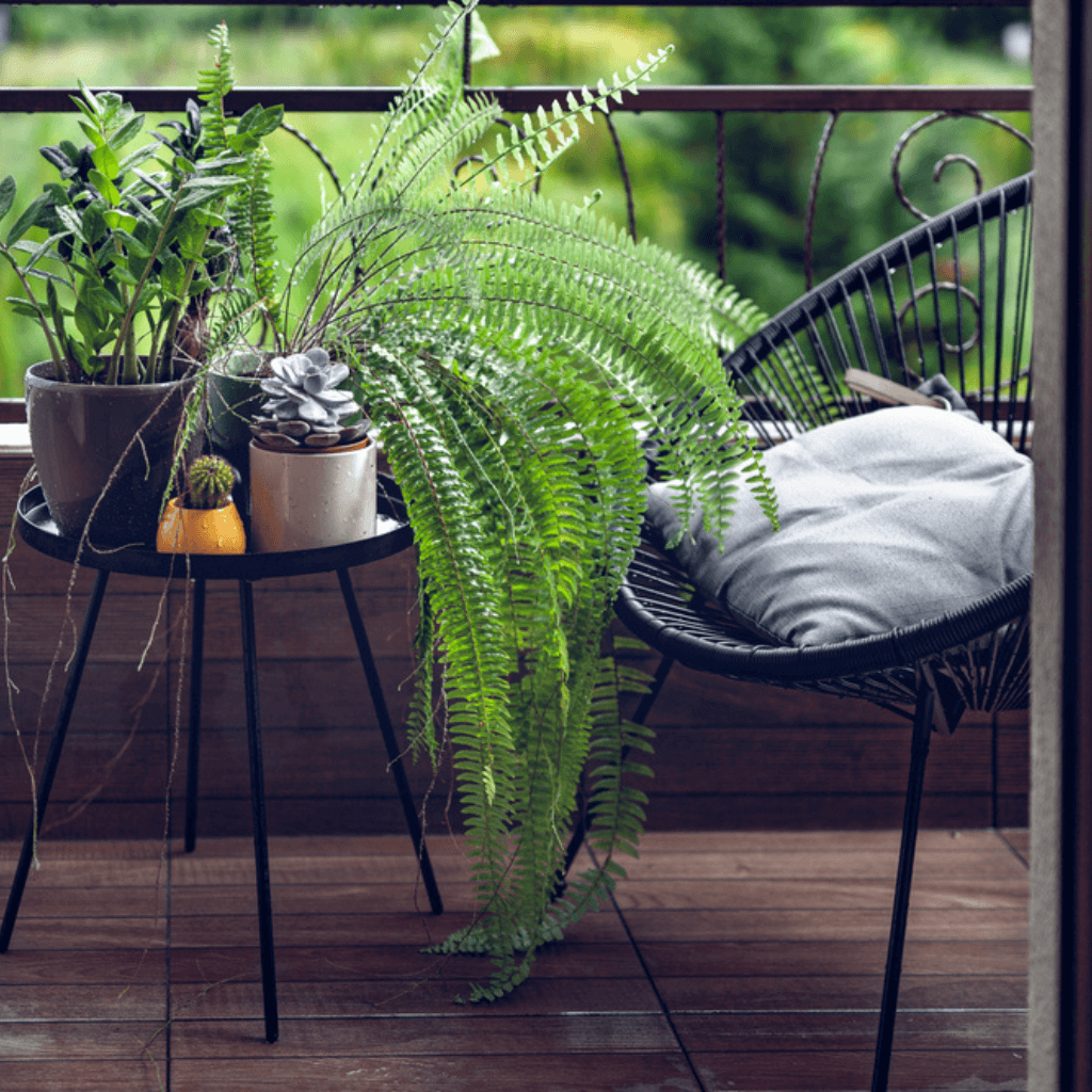 10 tips para decorar un balcón coqueto
