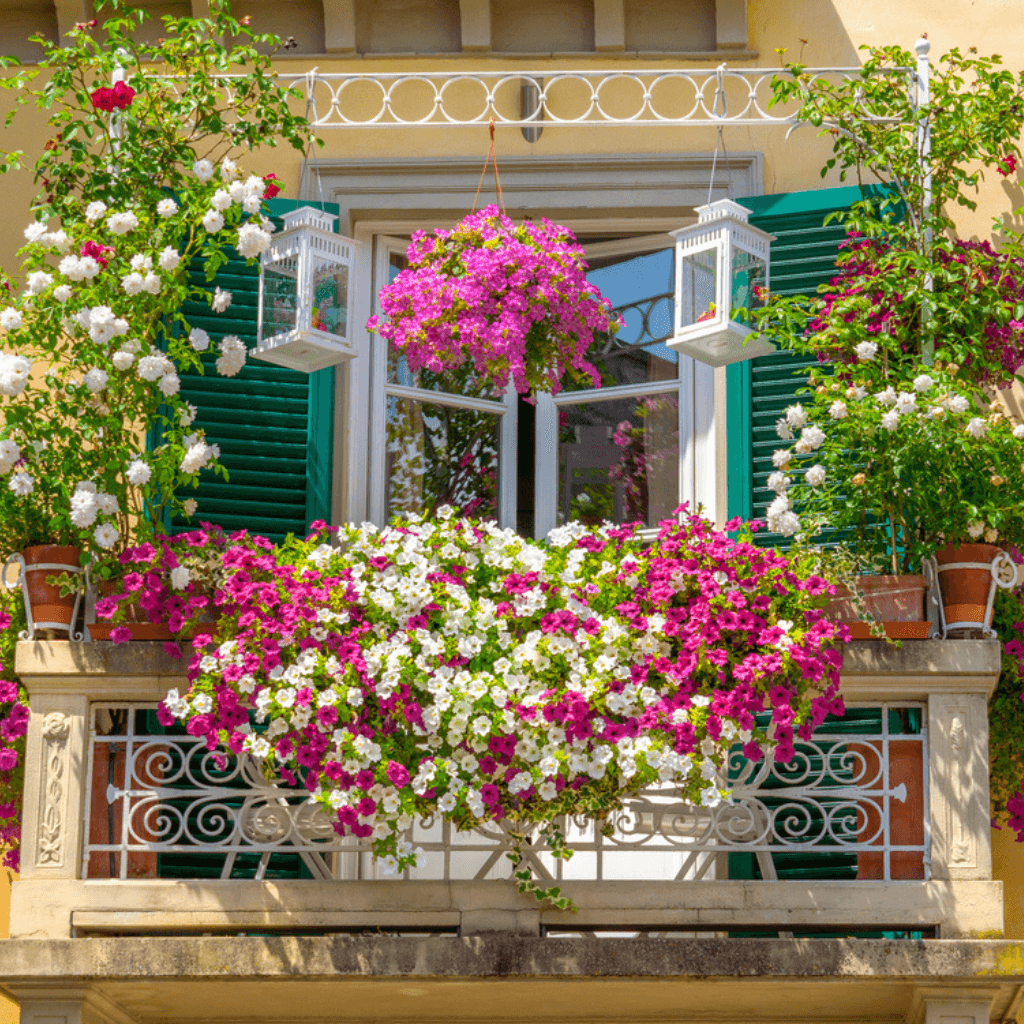 Balcón decorado con plantas multicolor