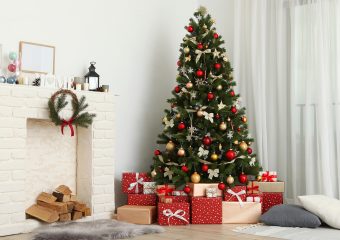 Árboles de Navidad: Consejos para elegir el modelo ideal