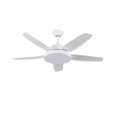 Ventilateurs de plafond dans le salon