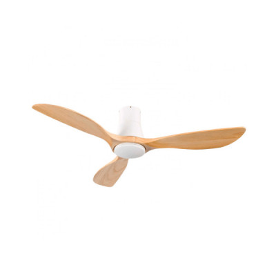 Ventilateurs avec télécommande