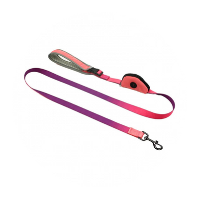 Laisses pour petits chiens