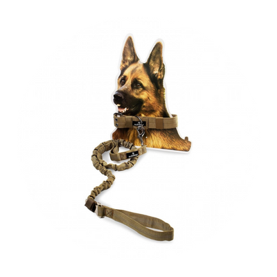 Trelas para cães de grande porte