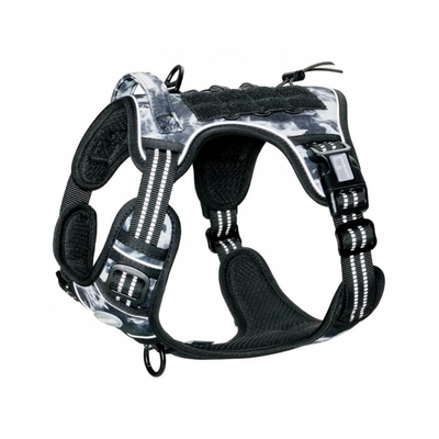 Arreios para cães de grande porte