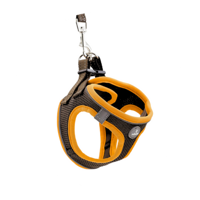 Harnais pour petits chiens